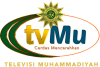 41. TvMu